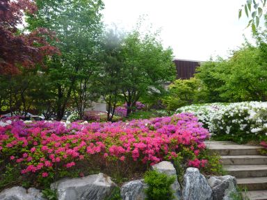 20120502GW韓国旅行31.jpg