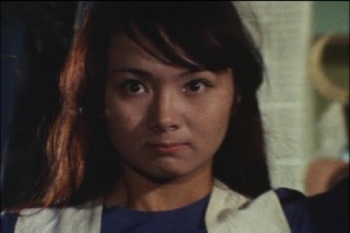 PDVD_075.jpg