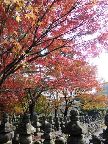 化野念仏寺.jpg