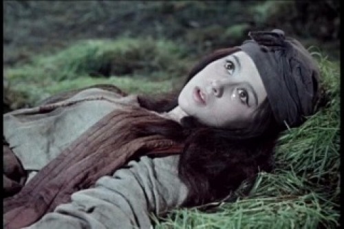 PDVD_006.jpg