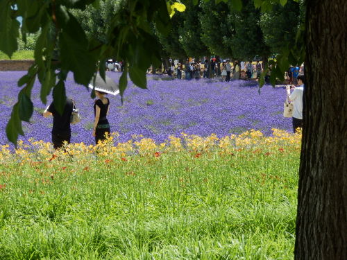 2013夏北海道_158.JPG