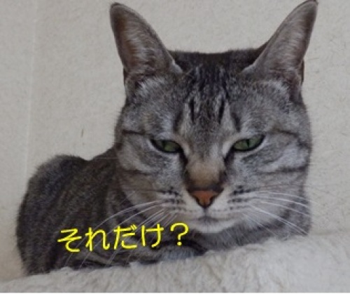 20140410_2.jpg