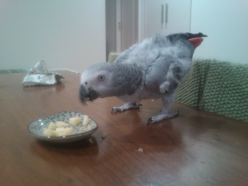 4 隠れた一面.JPG