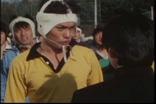 PDVD_007.jpg