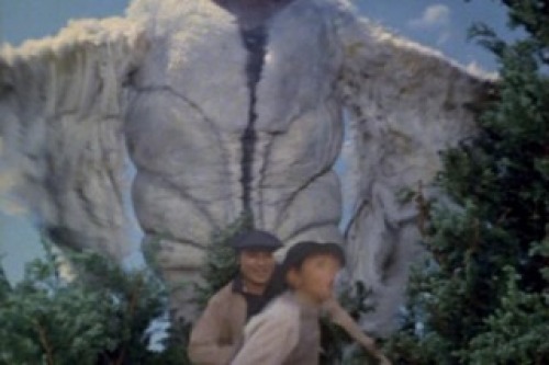 PDVD_008.jpg