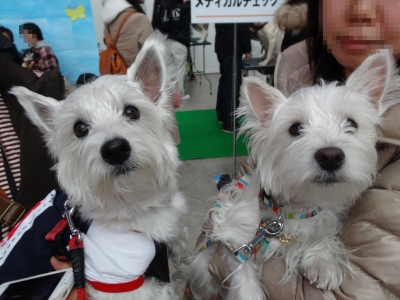 DSC00100.jpg