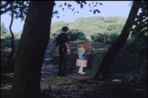 PDVD_004.jpg