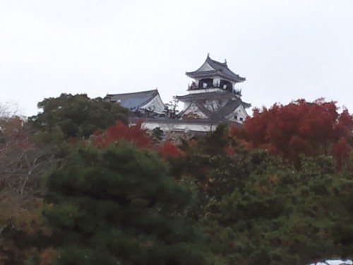 11月30日高知城.JPG