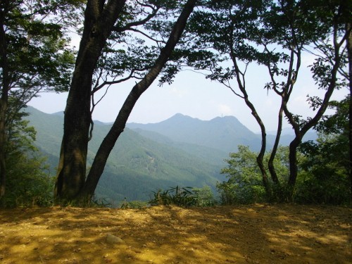 伊豆ヶ岳武甲山 (500x375).jpg