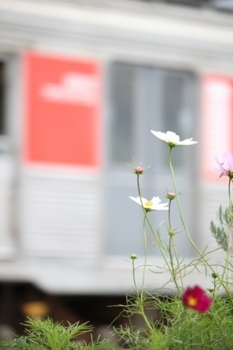 IMG_2588 e(V.2012_11_07__12_30_04).jpg