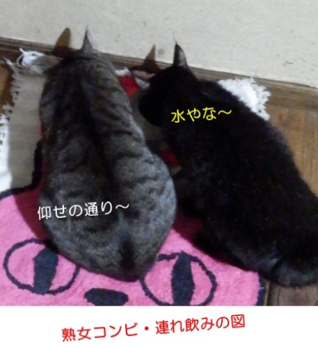 20150220_6.jpg