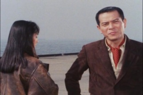 PDVD_248.jpg