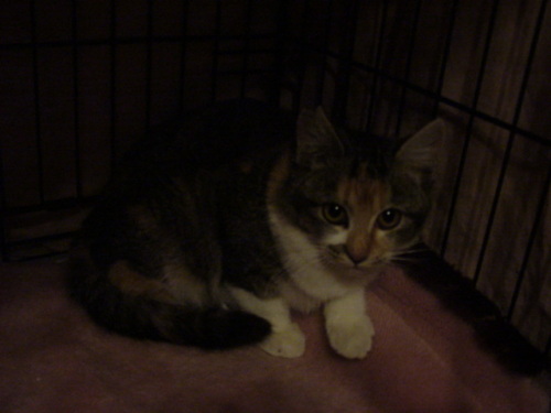 DSC08622.JPG