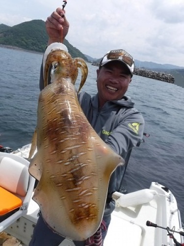 行ってきました アオリイカ釣り キター 自己記録更新サイズ アオリイカ釣り奮闘記 楽天ブログ