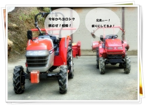 CIMG2236.JPG