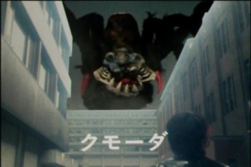 PDVD_011.jpg