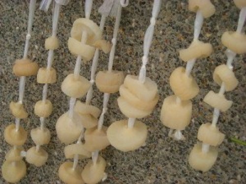 DSCN4188 (300x225).jpg