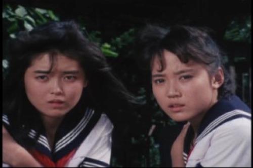 PDVD_026.jpg