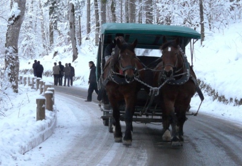 pict-冬ノイシュバンシュタイン城 1.jpg