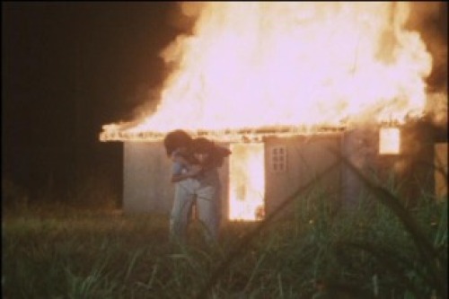 PDVD_065.jpg