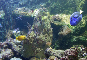 guam water5.jpg