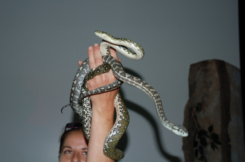 DSC_2537.JPG