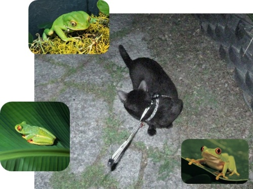 チャン3.jpg