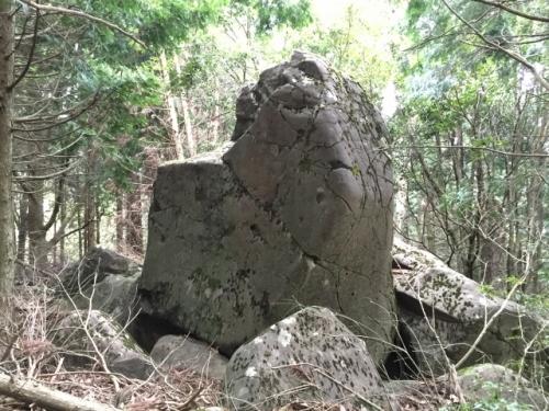 IMG_6601 (640x480).jpg