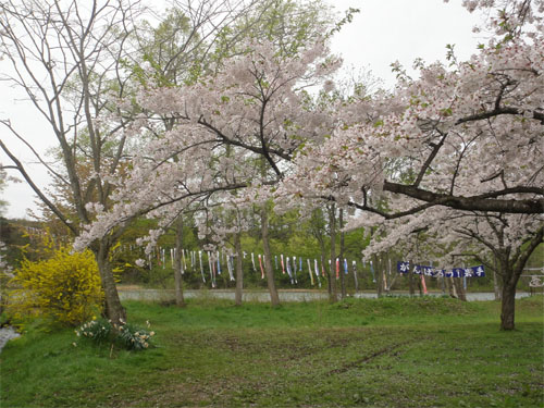 雫石園地3.jpg