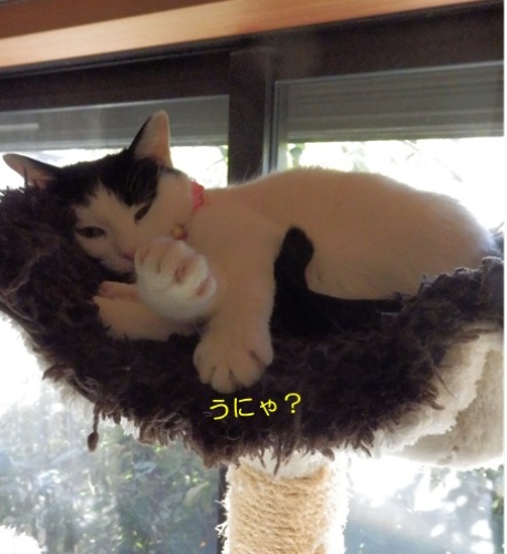 20141219_2.jpg