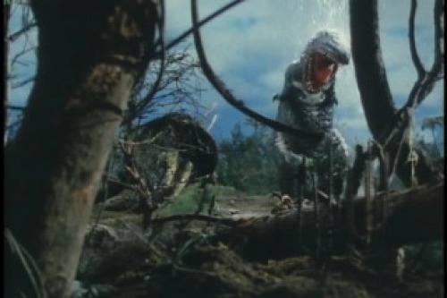 PDVD_002.jpg