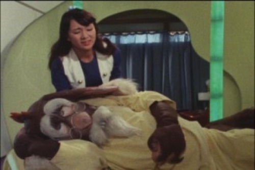 PDVD_038.jpg