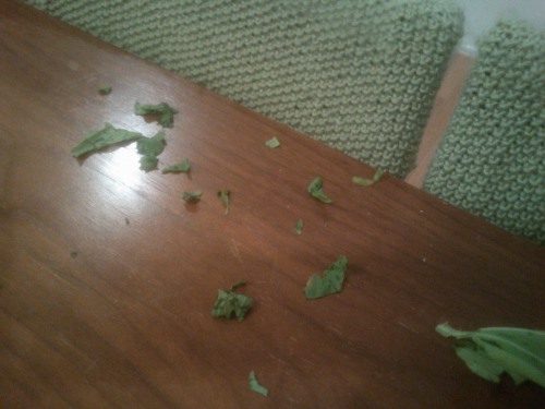 5 お掃除。。。.JPG