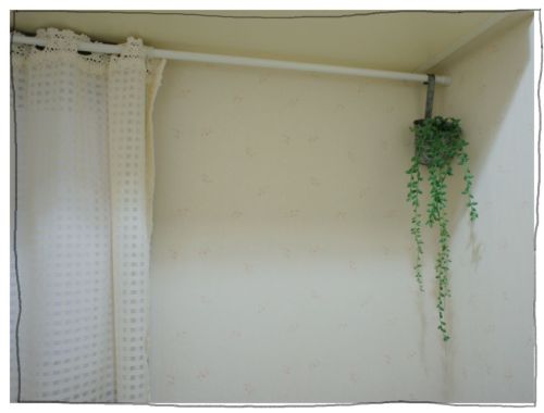 100円ショップ　セリア　バケツ