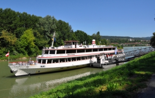 pict-クルーズ 2.jpg