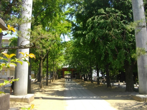 葛飾八幡宮参道 (2).JPG