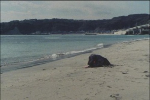 PDVD_020.jpg
