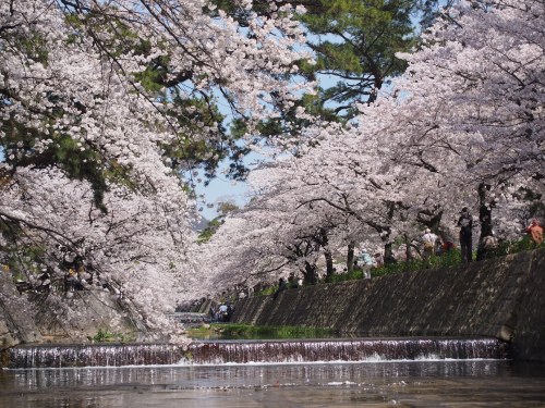 夙川公園1.JPG