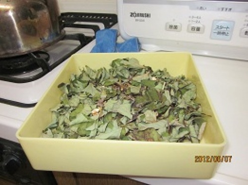 IMG_2467どくだみ茶葉.jpg