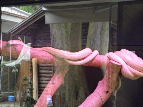 PA080119.JPG