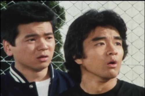 PDVD_011.jpg