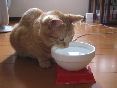 August 17, 2013(6).JPG