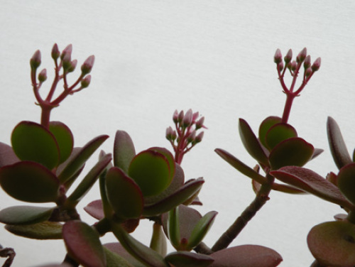 20120314.jpg