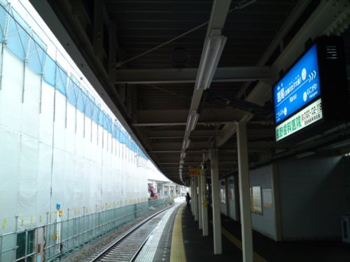 SN3J4410.jpg