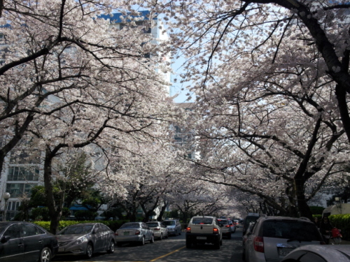 20130328_142346.jpg