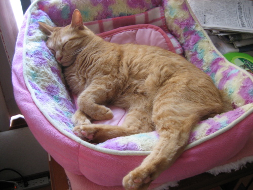 Sept. 19, 2015(5).JPG