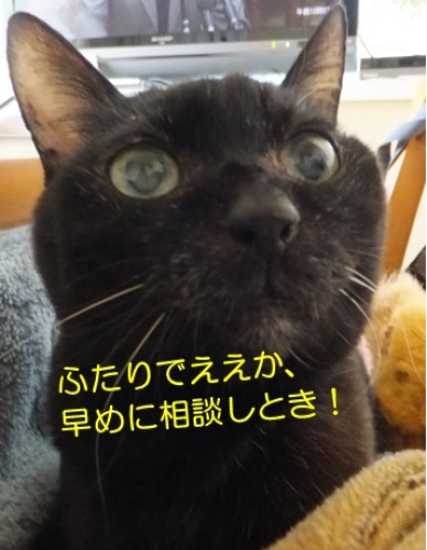 20130406_6.jpg