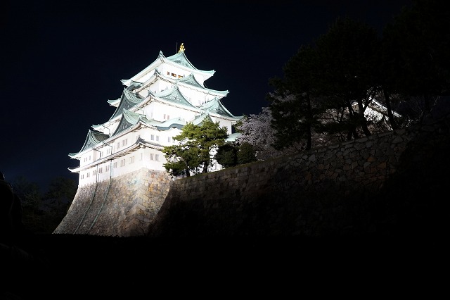 ライトアップの名古屋城 ｇｗ中 本当に大勢の観光客の方々が来城されました 地元民として感謝 幸せに日向ぼっこ 楽天ブログ