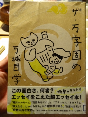 DSC00343.jpg