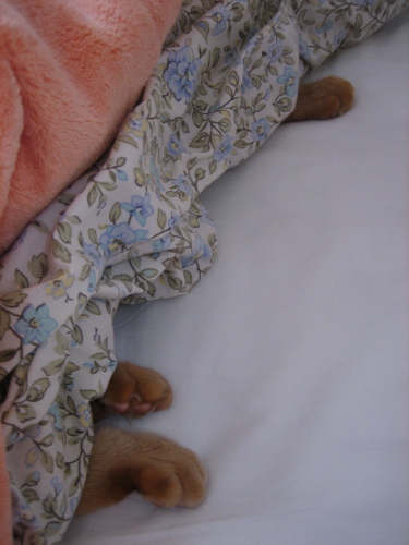 Oct. 31, 2015(3).JPG